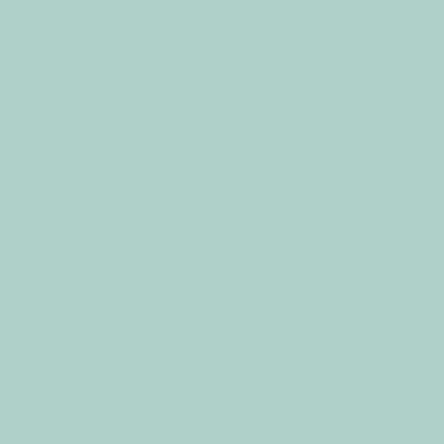Cassiopeia PPG1141-3