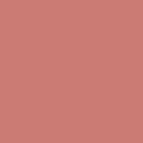 Chili Pepper PPG1057-5