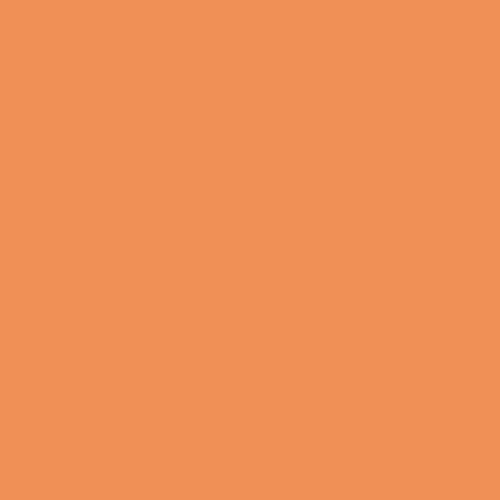 Chinese Lantern PPG1196-6