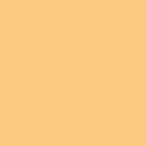 Chunk Of Cheddar PPG1204-5