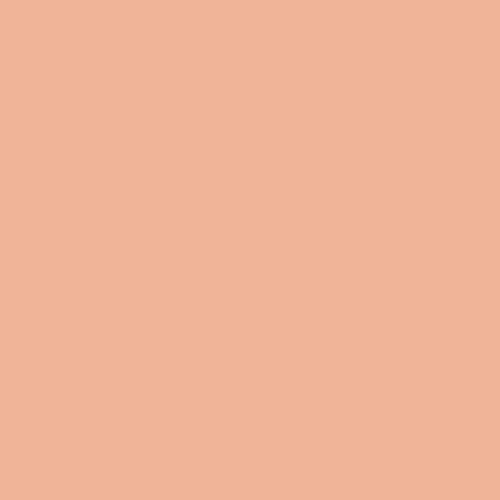 Crab Bisque PPG1195-4