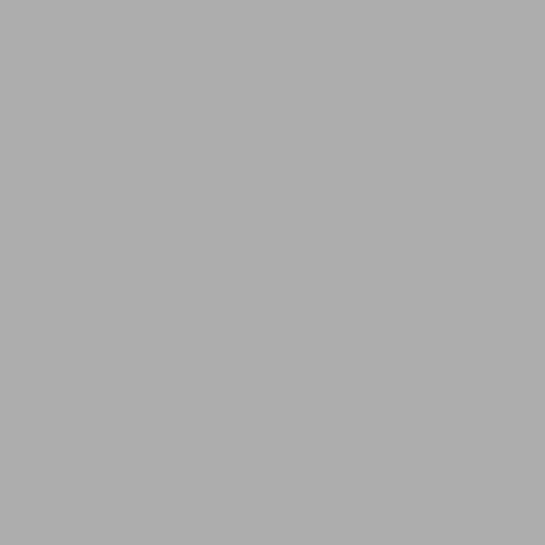 Flagstone PPG1001-4