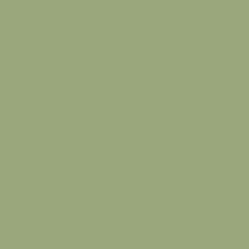 Guacamole PPG1121-5