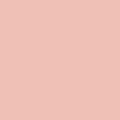 New Clay PPG1192-4