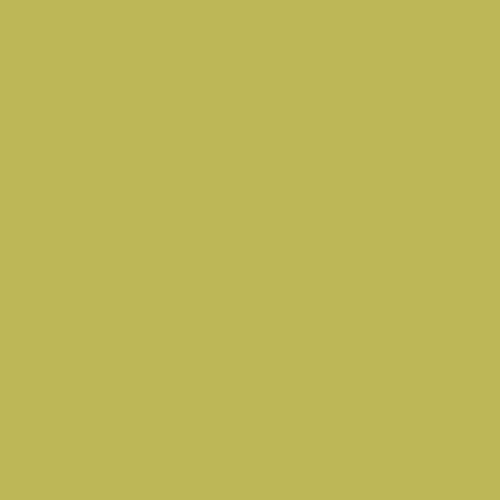 Parachute PPG1218-5
