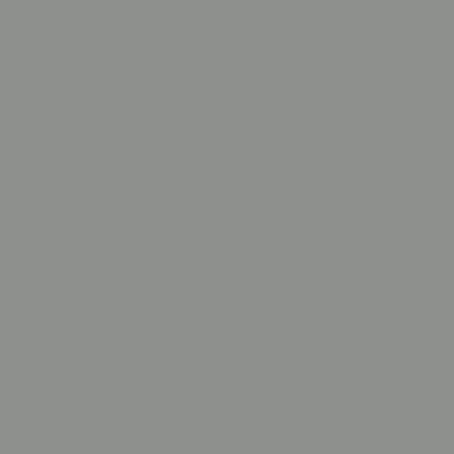 Phoenix Fossil PPG1009-5