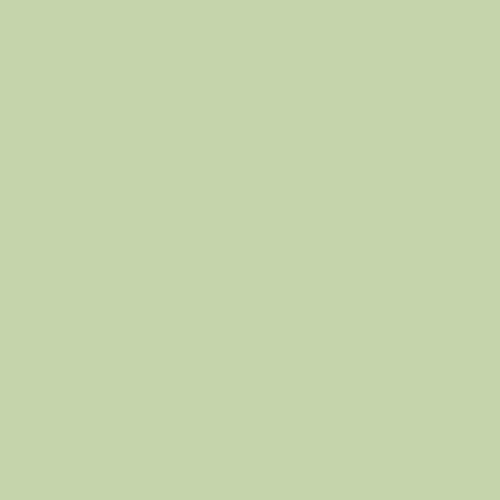 Pistachio Pudding PPG1120-4