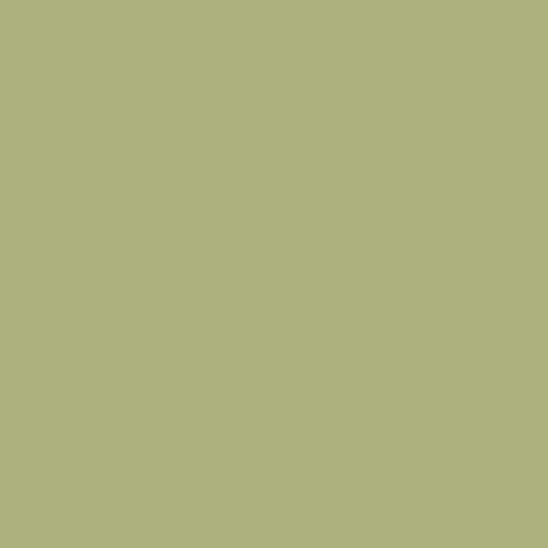 Sparrow Song PPG11-13