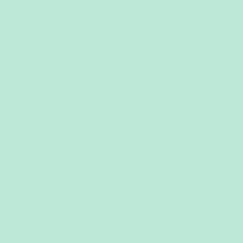 Wintergreen Mint PPG1229-2